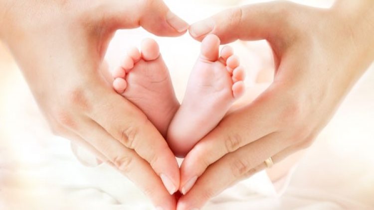 HDI seguros apoia projeto amar – maternidade e amor