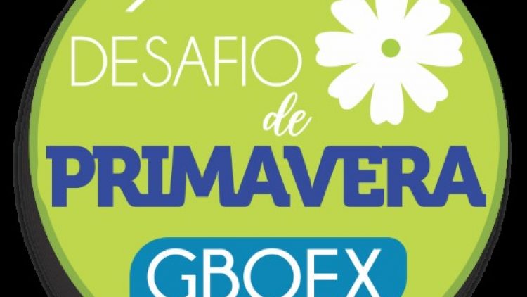 GBOEX premia corretores no Desafio de Primavera