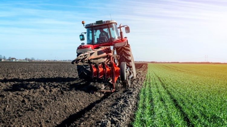 Agricultores receberam R$ 3,6 bi em indenizações de seguro rural entre janeiro e outubro de 2021