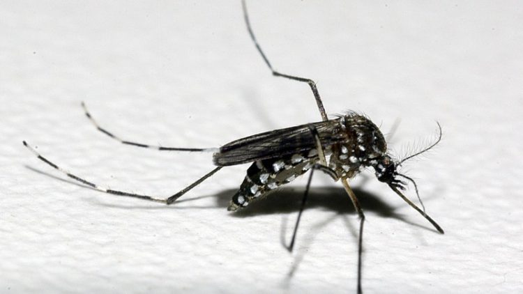 Secretaria da Saúde emite alerta epidemiológico para situação crítica de dengue