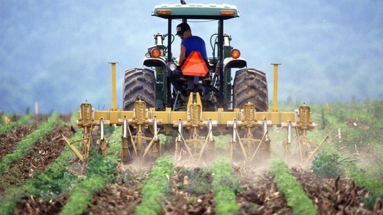 Seguro Rural: CNA pede suplementação de R$ 710 milhões